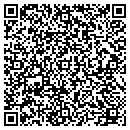 QR code with Crystal Clean Windows contacts
