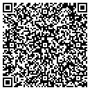 QR code with Professional Design contacts