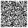QR code with Nesco contacts
