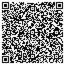 QR code with Blue Mountain Telecom contacts
