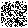 QR code with D'Vine contacts