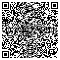 QR code with Vitals contacts