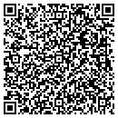 QR code with Bicycle King contacts