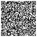 QR code with Public Instruction contacts