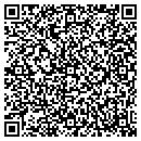 QR code with Brians Tree Service contacts