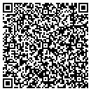 QR code with Chelan Valley Tours contacts