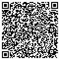 QR code with Attic contacts