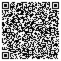 QR code with Vector contacts