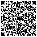 QR code with Blue Stocking Tours contacts
