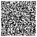 QR code with Paws contacts