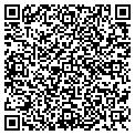 QR code with B-Side contacts