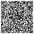 QR code with Public Works Inc contacts