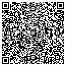 QR code with Bio Graphics contacts