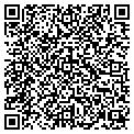 QR code with A-Plus contacts