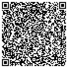 QR code with Solution Strategies Inc contacts