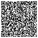 QR code with Brian's Auto Sales contacts