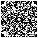 QR code with Carl J Diana CPA contacts