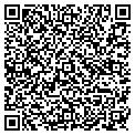 QR code with Pawash contacts