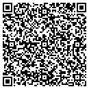 QR code with Puget Sound Digital contacts