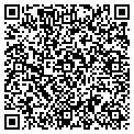 QR code with Cindon contacts