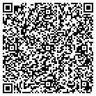 QR code with Professional Web Design contacts