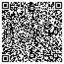 QR code with Carpet Carousel Inc contacts