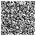QR code with Mirror contacts