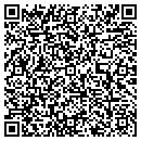 QR code with Pt Publishing contacts