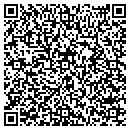 QR code with Pvm Painting contacts
