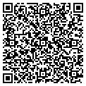 QR code with Amsoil contacts