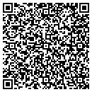 QR code with County Public Works contacts