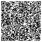 QR code with Public Safety Testing Inc contacts