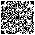 QR code with Site V04 contacts