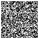QR code with Chameleon Visual Arts contacts