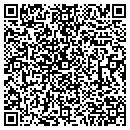 QR code with Puella contacts