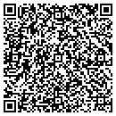 QR code with Carlson Scale Service contacts