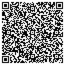 QR code with Pritchett Programming contacts