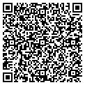 QR code with Goldies contacts
