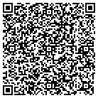QR code with Public Placement Assoc contacts