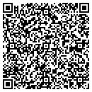 QR code with Premier Pools & Spas contacts