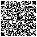 QR code with Pulse Mobility Inc contacts
