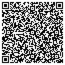 QR code with Progressive Image contacts
