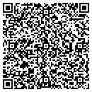QR code with Precision Electronic contacts