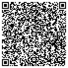 QR code with Puba & Nine Solutions contacts