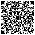 QR code with Lilys contacts