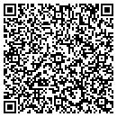 QR code with Brian's Tree Service contacts