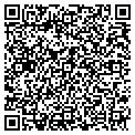 QR code with Jigsaw contacts