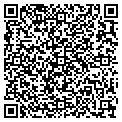 QR code with Hase 8 contacts