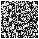 QR code with Premiere Processing contacts