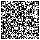 QR code with Brian's Automotive contacts